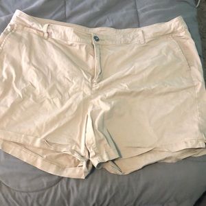 Lane Bryant shorts size 24